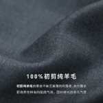 아오 지아 정장의 그림