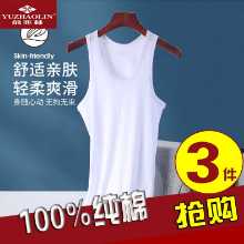 여름면 남성 조끼의 그림