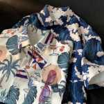 아메리칸 하와이 프린트 셔츠 남성용 반팔 여름 홍콩 스타일 일본 5 반팔 옷 남성용 비치 셔츠의 그림