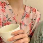 지르코니아 목걸이의 그림