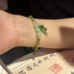 진주 새로운 중국 대나무 구슬 팔찌의 그림