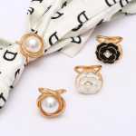 스카프 버클의 그림