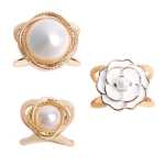 스카프 버클의 그림