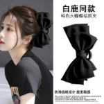 머리 장식 클립의 그림