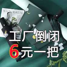 학생 우산 남녀 접이식 자동 우산의 그림