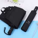 비와 빛 이중 사용 자동 학생 우산의 그림