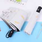 비와 빛 이중 사용 자동 학생 우산의 그림