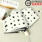 태양산/우산의 그림