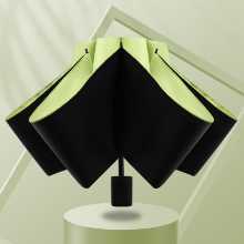 전자동 양산의 그림