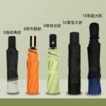 전자동 양산의 그림