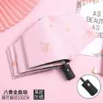 자동 접이식 양산의 그림