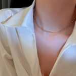 크리스탈 목걸이의 그림