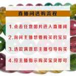 야시 주얼리 패션 부티크의 그림