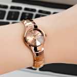 스위스 숙녀 시계 여성 자동 기계식 시계 여성 시계 방수 발광 패션 라이트 럭셔리 더블 캘린더 유명 브랜드 수입의 그림