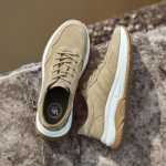 낙타 남성 신발의 그림