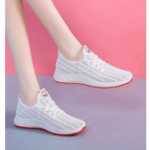 베이징 천 신발의 그림