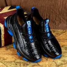 악어 가죽 남성 신발의 그림