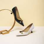 레드 드래곤 플라이 하이힐 여성 봄과 가을 모델 낮은 신발 여성 통근 포인트 파인 힐 가죽 정장 신발 WTB11183의 그림