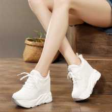 12cm 키 높이 운동화의 그림