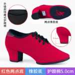 전문 라틴 댄스 신발의 그림