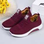 베이징 천 신발의 그림