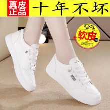 가죽 여성 흰색 신발의 그림