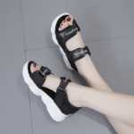 스포츠 해변 여성 샌들의 그림