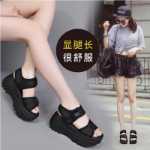 여성 비치 슈즈의 그림