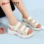 샌들 여성용의 그림