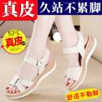 샌들 슬리퍼의 그림