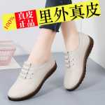 여성 신발 새로운 싱글 신발의 그림