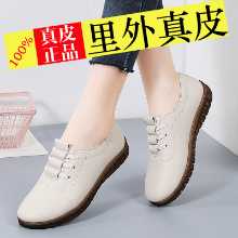 여성 신발 새로운 싱글 신발의 그림