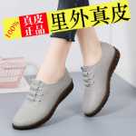 여성 신발 새로운 싱글 신발의 그림