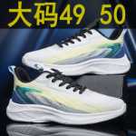 대형 사이즈 50 남성 신발 /  스포츠 신발 49 ,  48의 그림