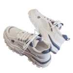 큰 사이즈 여성 신발 41 a 43의 그림