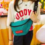 허리 가방의 그림