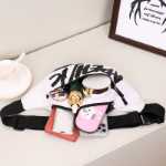 스포츠 다기능 방수 패니 팩의 그림