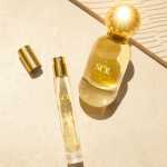 솔 데 자네이루 치로사 62의 그림