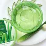 99% 알로에 베라 젤의 그림