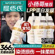 단백질 크림 영양소 헤어 마스크 리페어의 그림