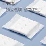 산모 생리대의 그림