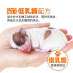 암컷 개를위한 산후 영양 보충제의 그림