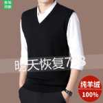 100 % 순수 캐시미어 남성용 두꺼운 조끼 가을과 겨울 모델 오르도스 시티 민소매 조끼 니트 브이넥 울 스웨터의 그림