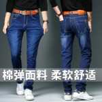 봄과 가을 섹션 청바지 남성 2023 가을 조류 느슨한 스트레이트 스트레치 캐주얼 바지 남성 여름 얇은 섹션의 그림