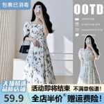 프렌치 드레스의 그림