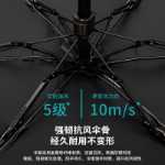 레인 앤 샤인 양산의 그림