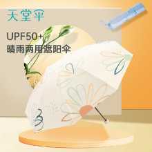 파라다이스 우산의 그림