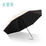 파라다이스 우산의 그림