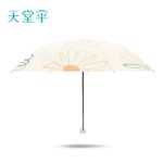 파라다이스 우산의 그림