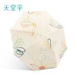 파라다이스 우산의 그림